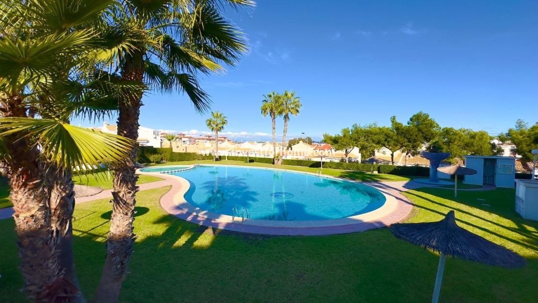 Vente - Maison - Torrevieja - Torrelamata - La Mata