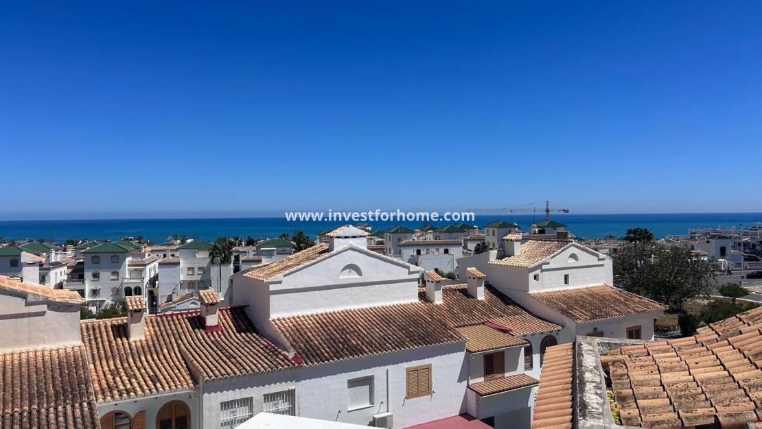 Vente - Maison - Torrevieja - Torrelamata - La Mata