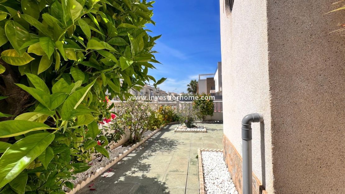 Vente - Maison - Torrevieja - Torrelamata - La Mata