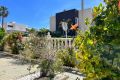 Vente - Maison - Torrevieja - Torrelamata - La Mata