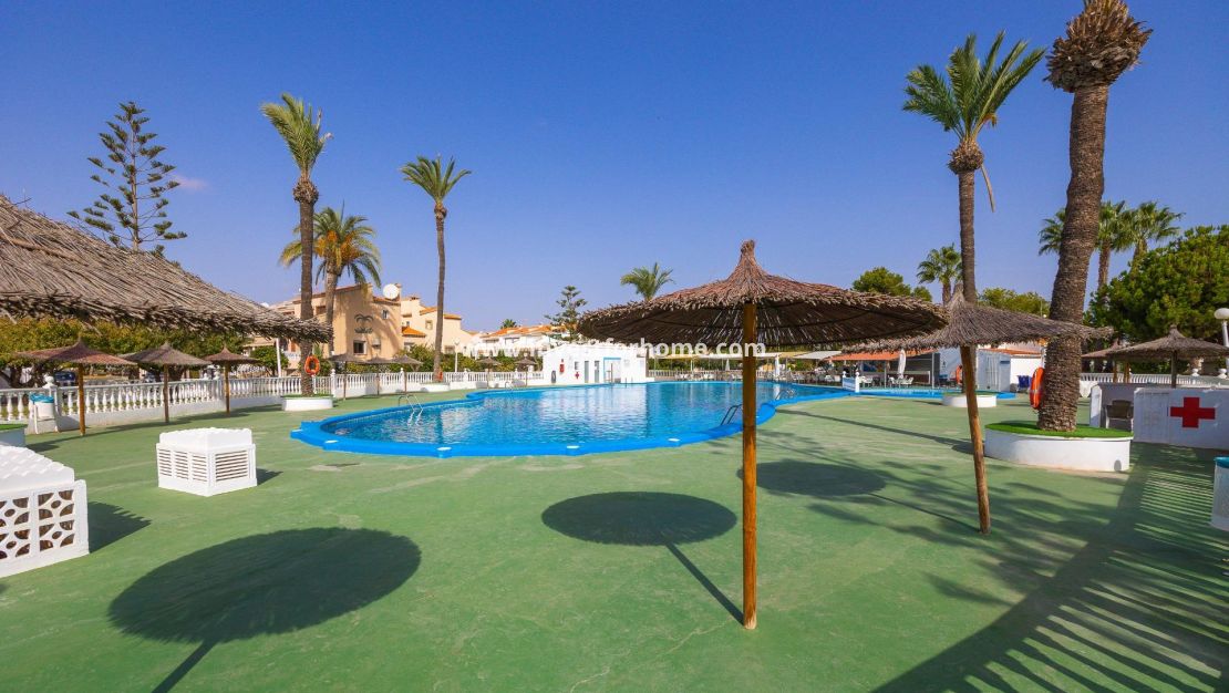 Vente - Maison - Torrevieja - Torreta Florida