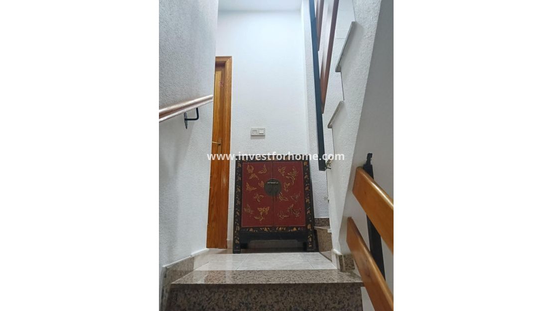 Vente - Maison - Torrevieja - Torreta Florida