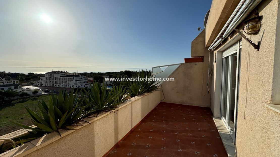 Vente - Penthouse - Orihuela Costa - Punta Prima