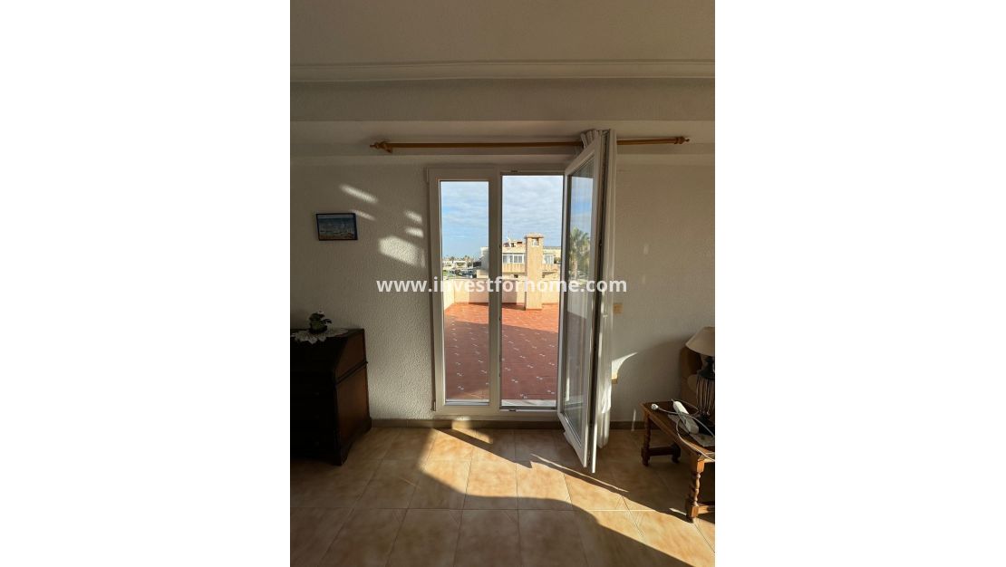 Vente - Penthouse - Orihuela Costa - Punta Prima