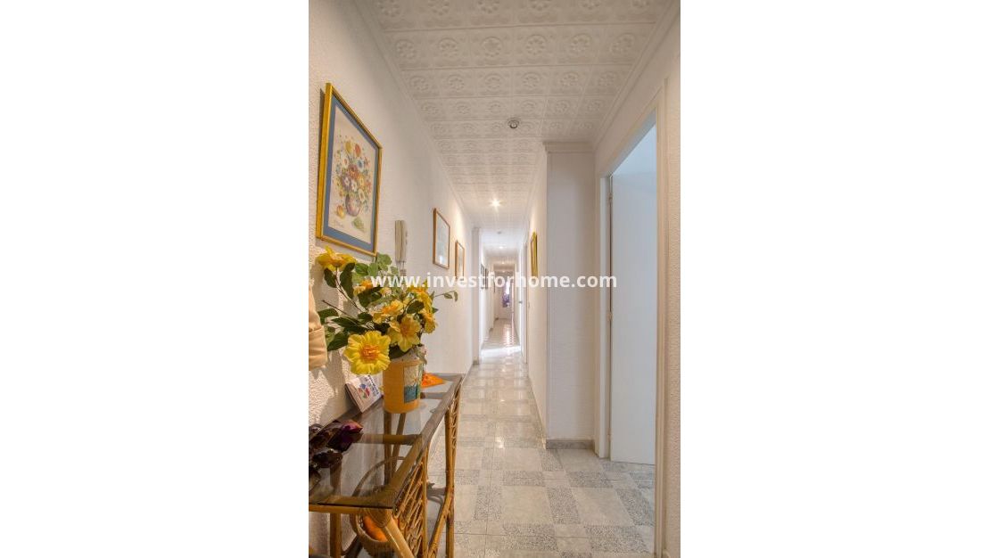 Vente - Penthouse - Torrevieja - Centro