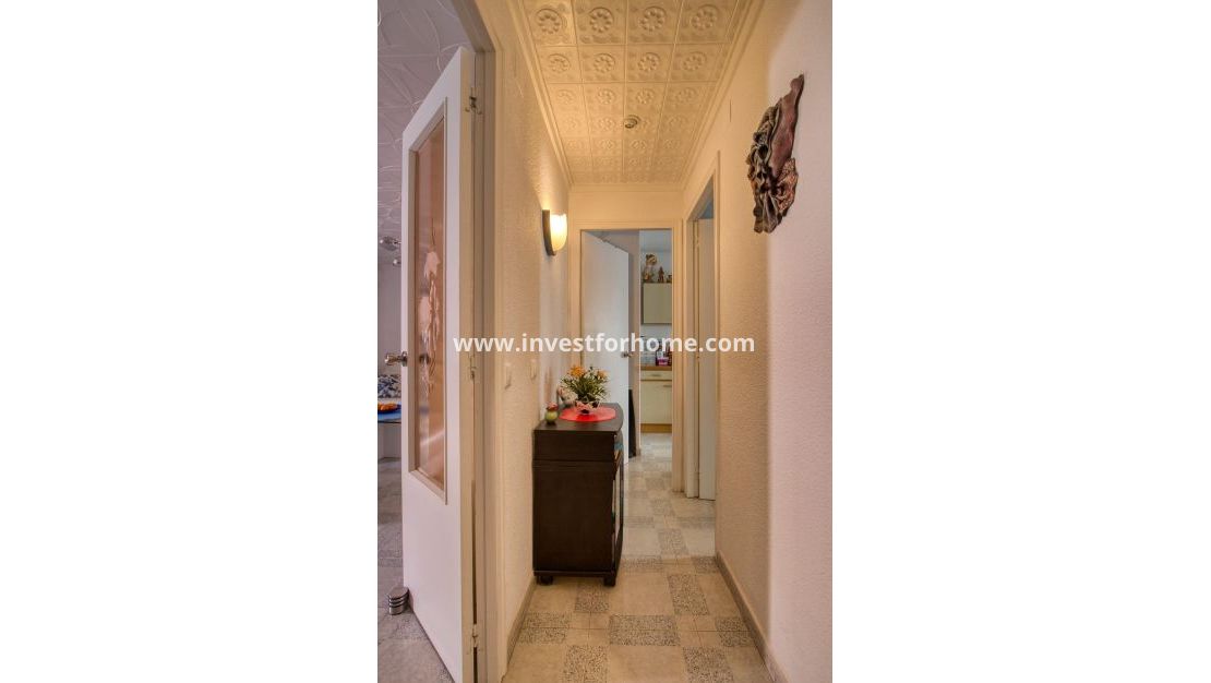 Vente - Penthouse - Torrevieja - Centro