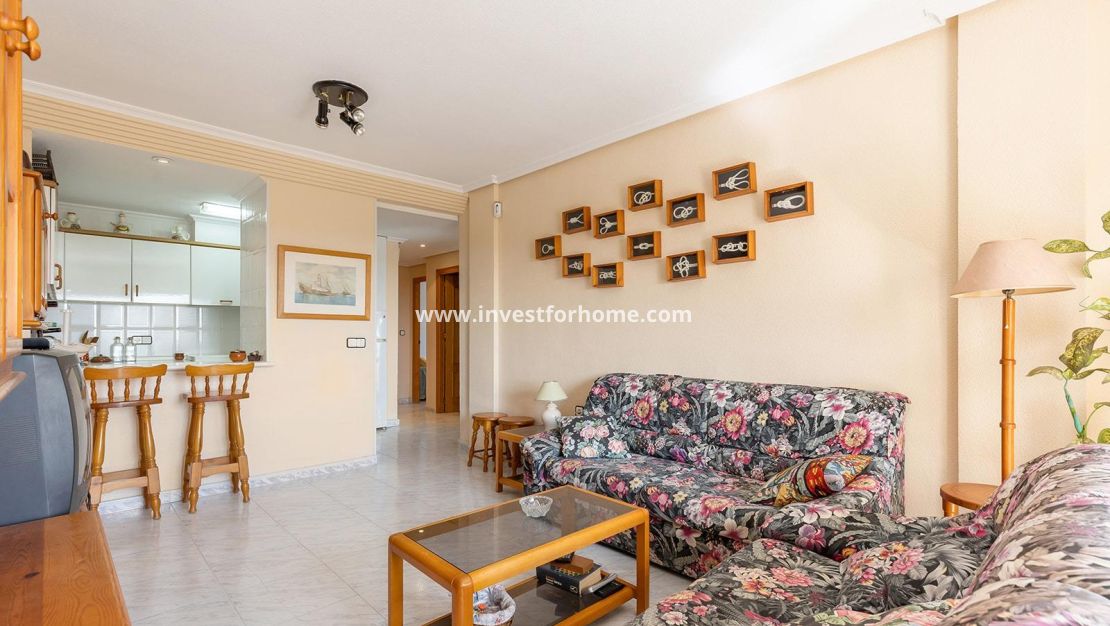 Vente - Penthouse - Torrevieja - Nueva Torrevieja - Aguas Nuevas