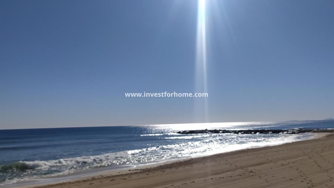 Vente - Penthouse - Torrevieja - Playa del Cura