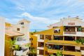 Vente - Penthouse - Torrevieja - Punta prima