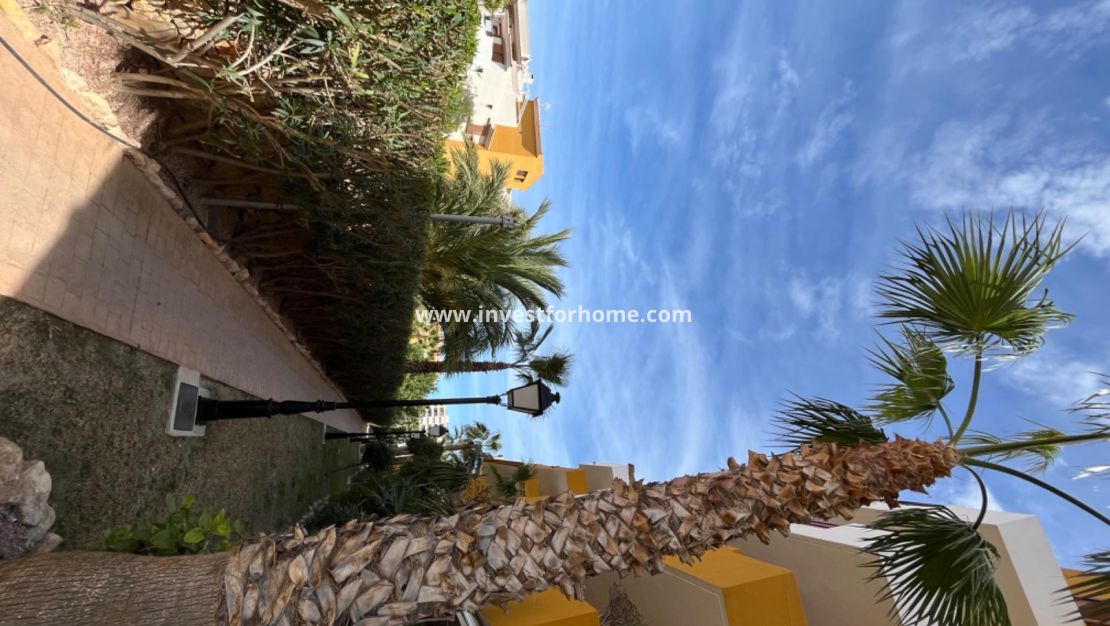 Vente - Penthouse - Torrevieja - Punta prima