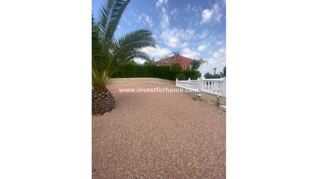 Vente - Villa - Algorfa - Inland