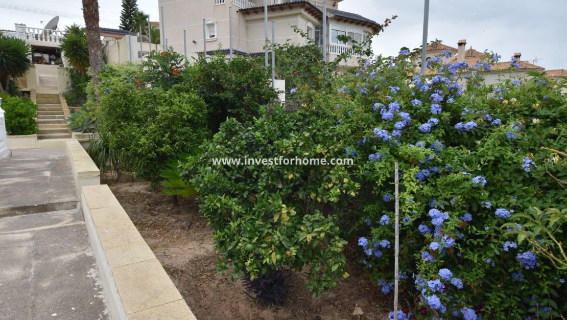 Vente - Villa - Algorfa - Inland