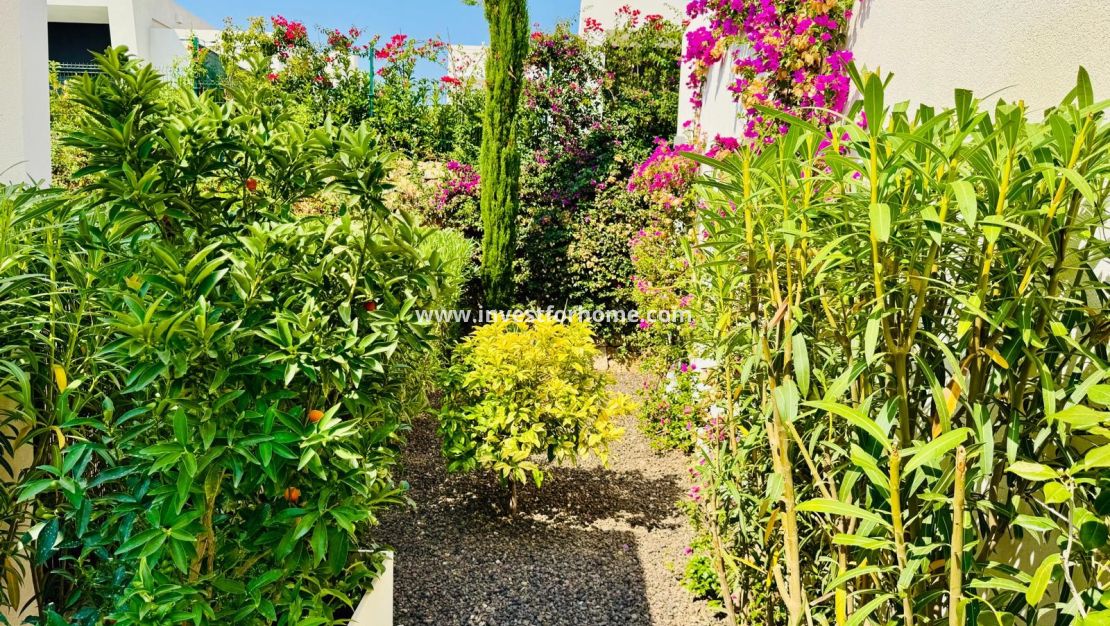 Vente - Villa - Algorfa - Inland