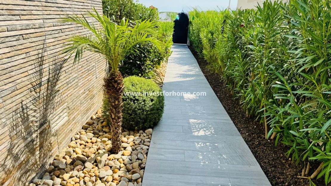 Vente - Villa - Algorfa - Inland