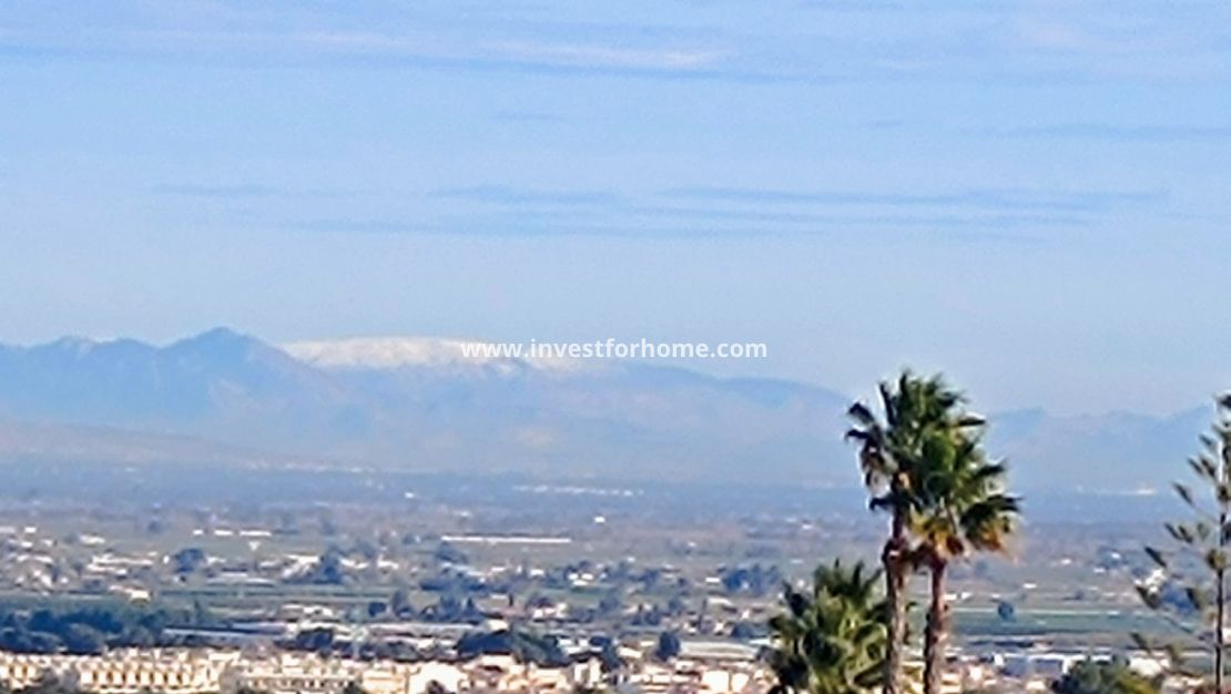 Vente - Villa - Algorfa - Inland