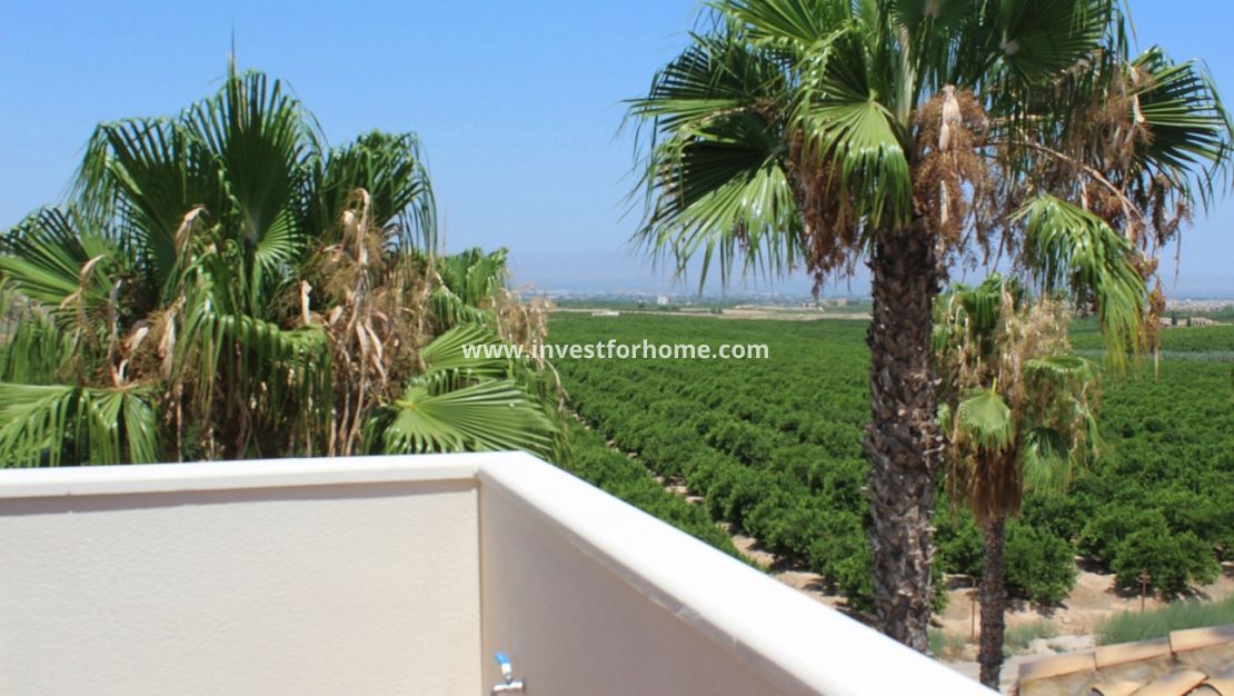 Vente - Villa - Algorfa - Inland