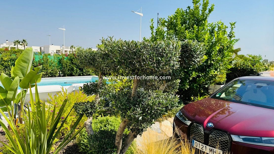 Vente - Villa - Algorfa - Inland
