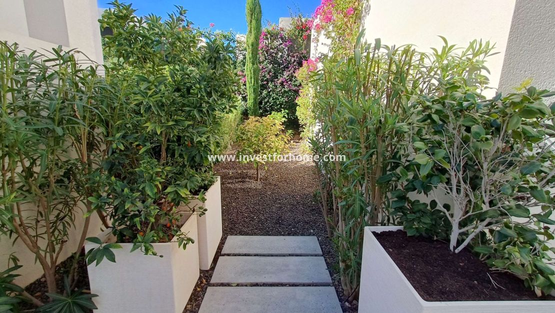 Vente - Villa - Algorfa - Inland