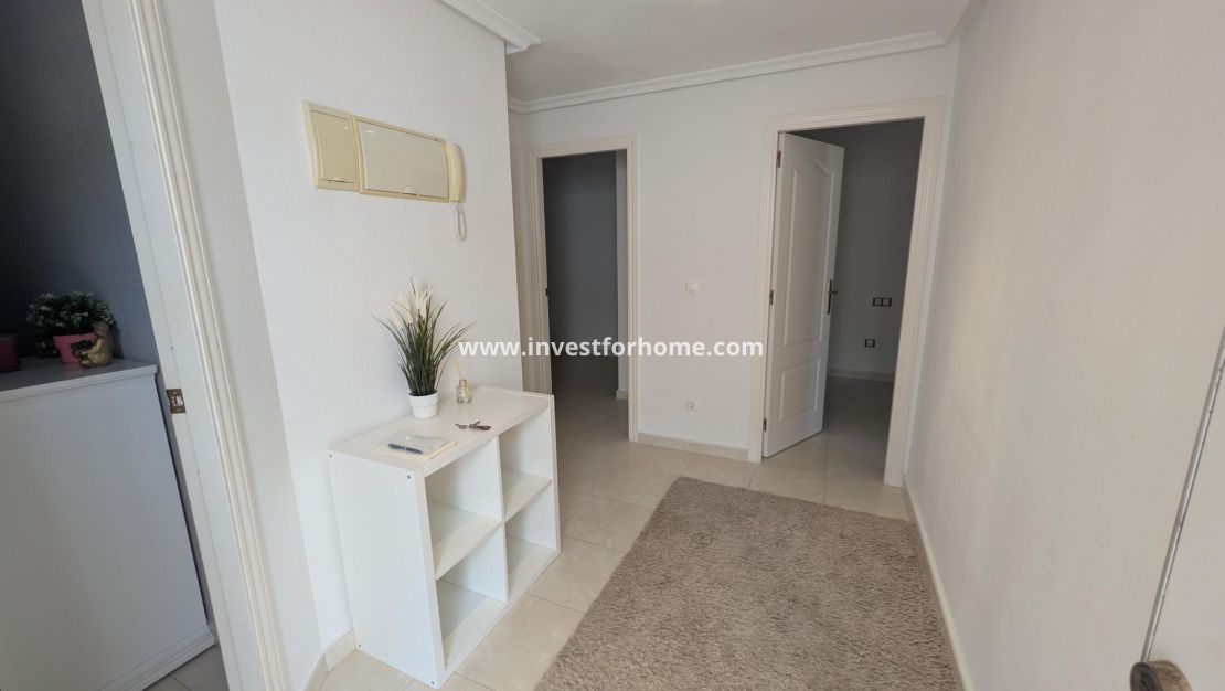Vente - Villa - Algorfa - Inland