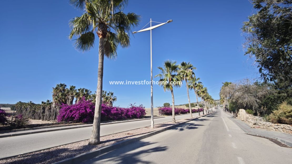 Vente - Villa - Algorfa - Inland