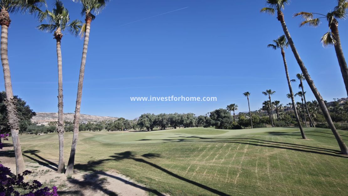 Vente - Villa - Algorfa - Inland