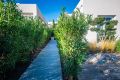 Vente - Villa - Algorfa - LA FINCA GOLF / ALGORFA