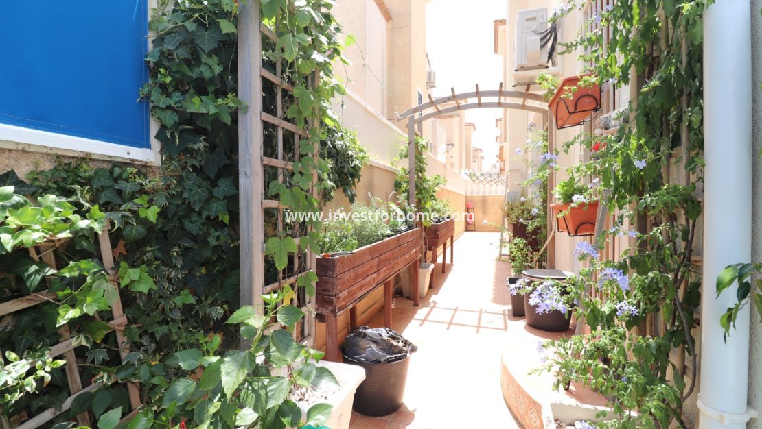 Vente - Villa - Algorfa - Montebello