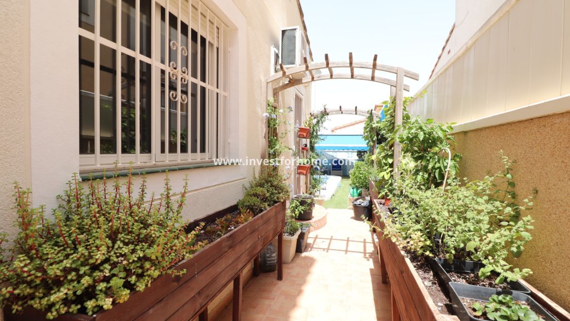 Vente - Villa - Algorfa - Montebello