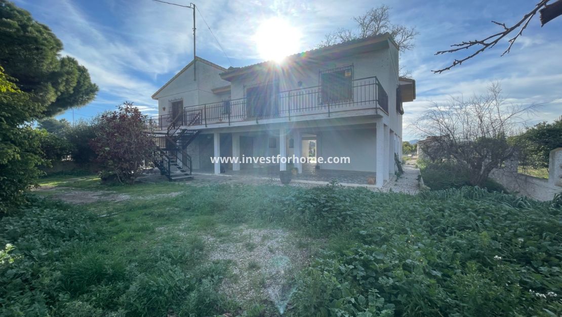 Vente - Villa - Benejuzar - Inland