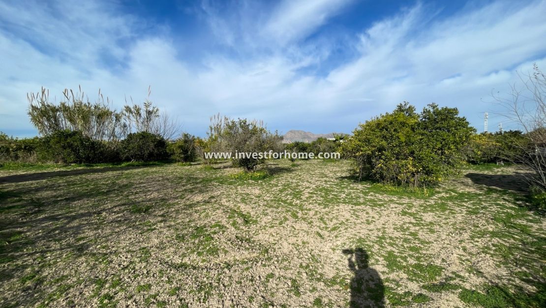 Vente - Villa - Benejuzar - Inland