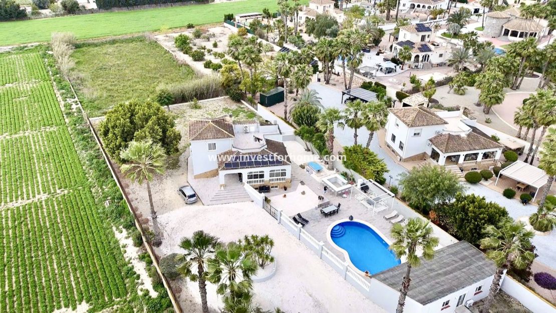 Vente - Villa - Catral - Costa Blanca