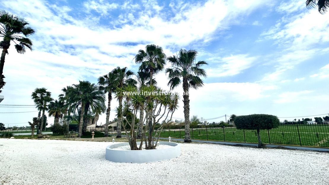 Vente - Villa - Catral - Costa Blanca