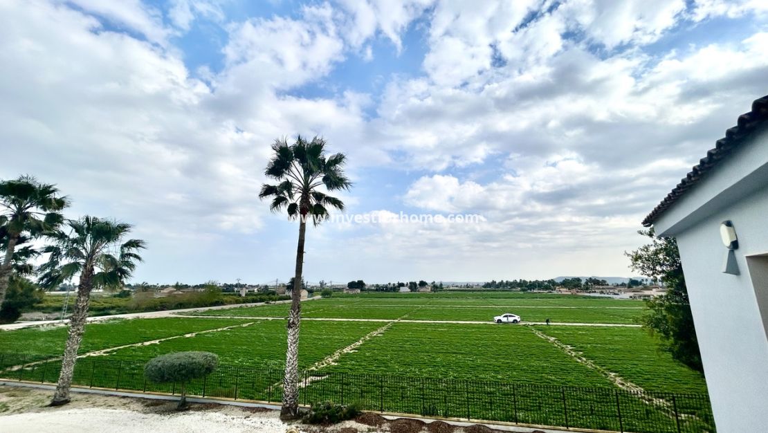 Vente - Villa - Catral - Costa Blanca