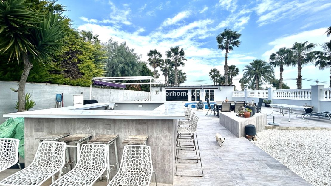 Vente - Villa - Catral - Costa Blanca