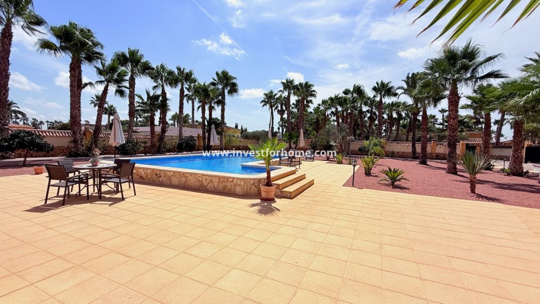 Vente - Villa - Catral - Costa Blanca