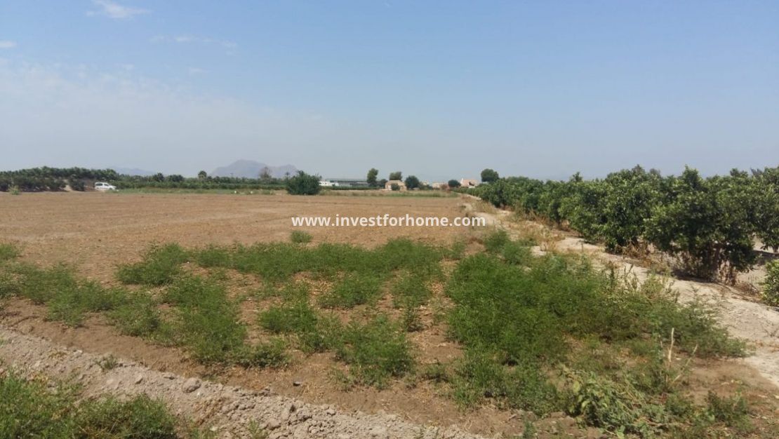 Vente - Villa - Daya Nueva - Costa Blanca