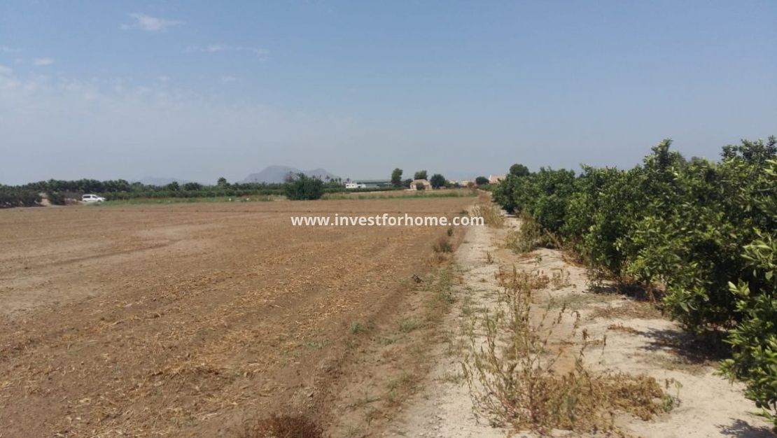 Vente - Villa - Daya Nueva - Costa Blanca