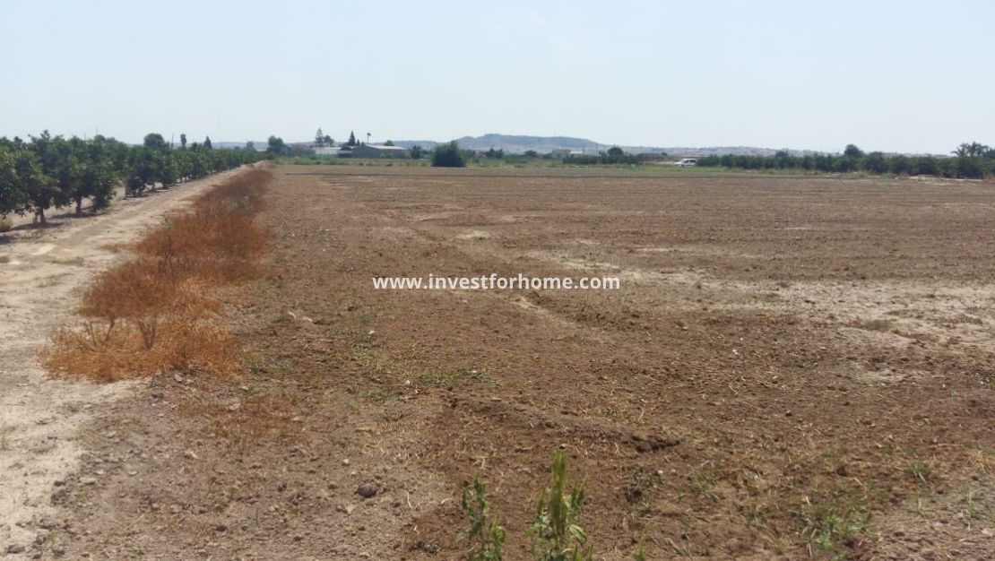 Vente - Villa - Daya Nueva - Costa Blanca