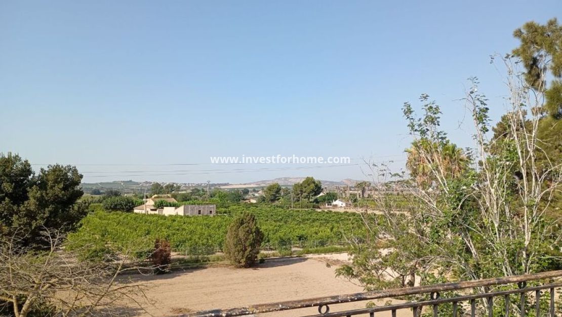 Vente - Villa - Daya Nueva - Costa Blanca