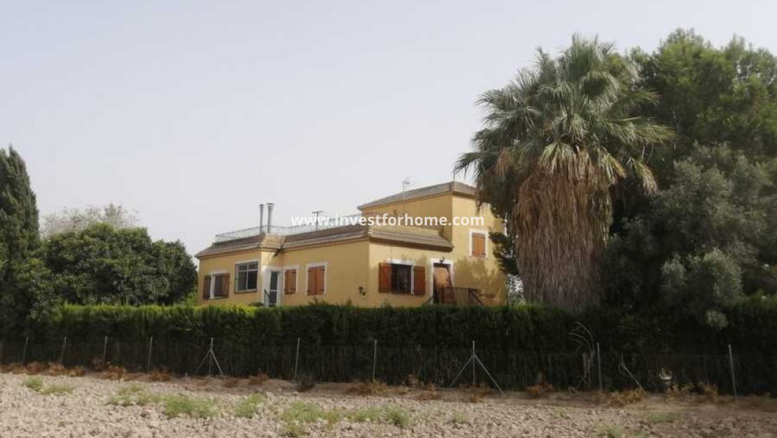Vente - Villa - Daya Nueva - Costa Blanca