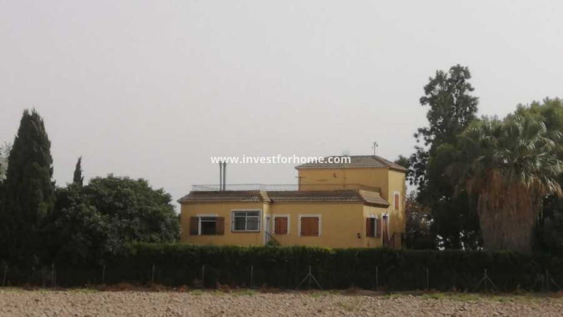 Vente - Villa - Daya Nueva - Costa Blanca