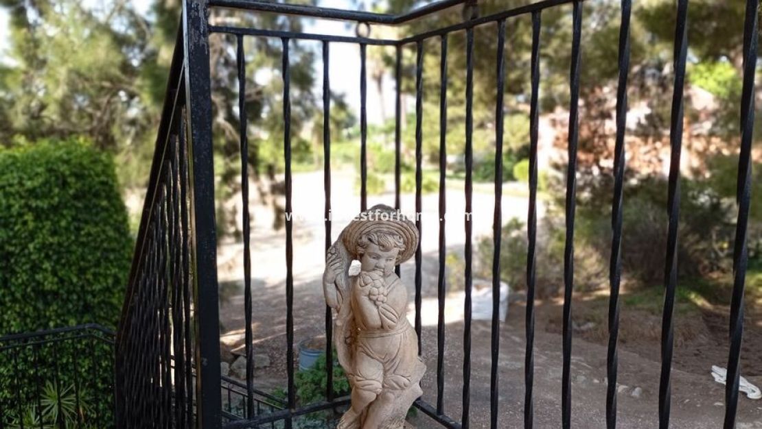 Vente - Villa - Daya Nueva - Costa Blanca