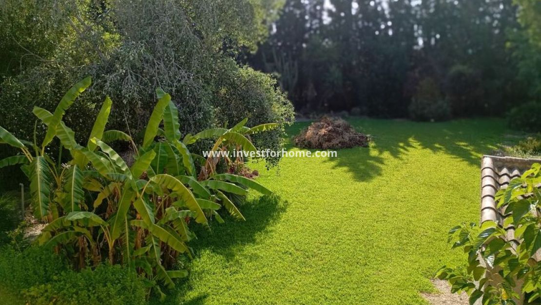 Vente - Villa - Daya Nueva - Costa Blanca