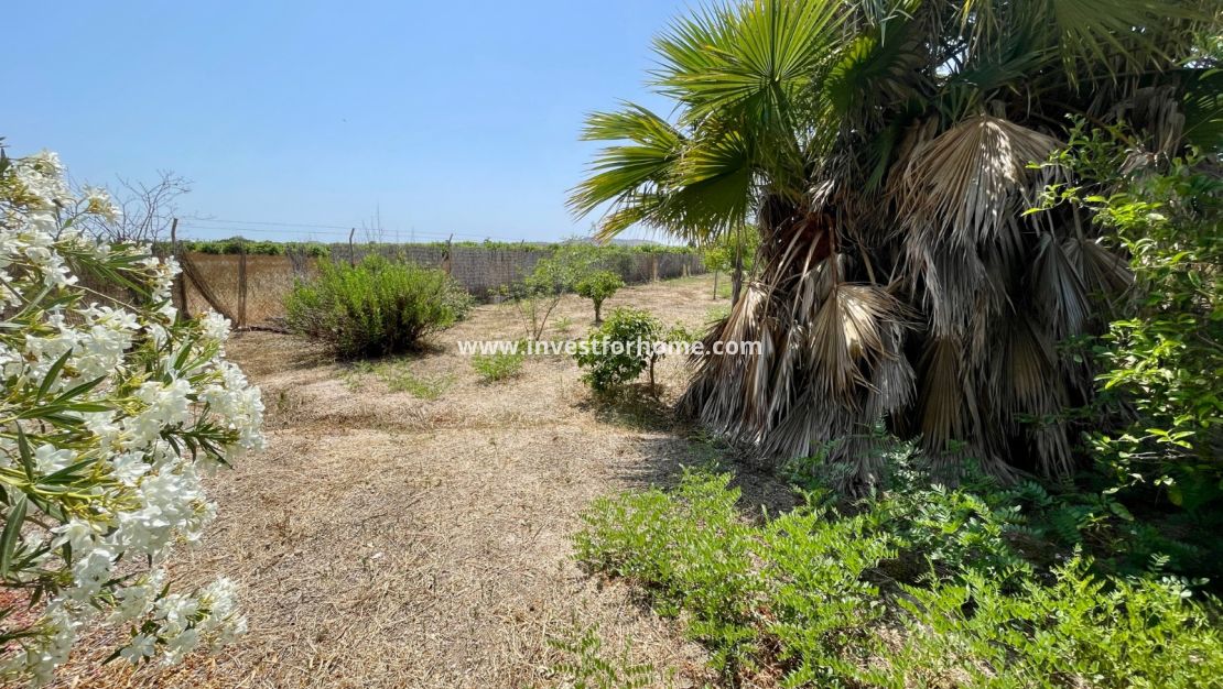 Vente - Villa - Daya Nueva - Costa Blanca