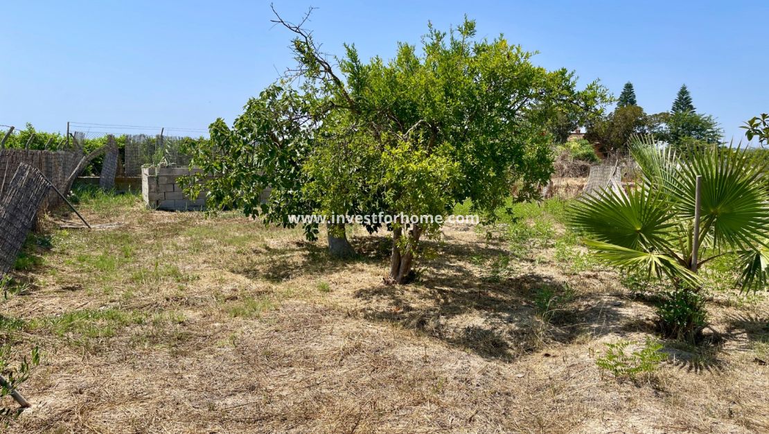 Vente - Villa - Daya Nueva - Costa Blanca