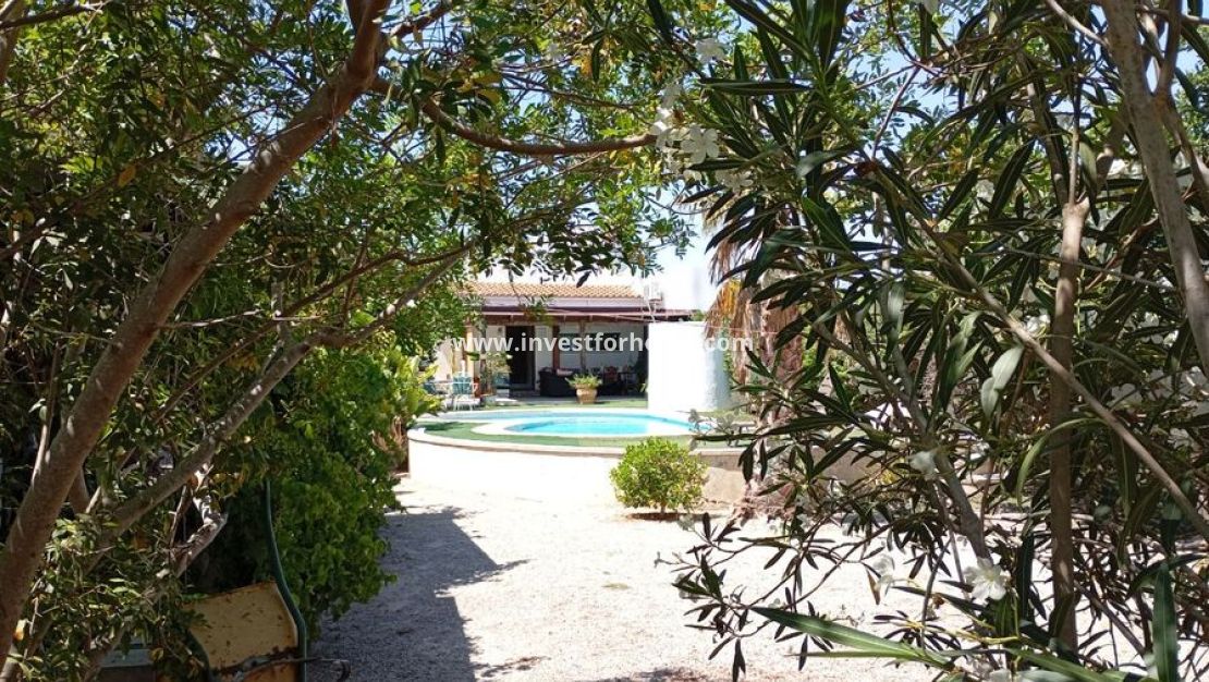Vente - Villa - Daya Nueva - Costa Blanca