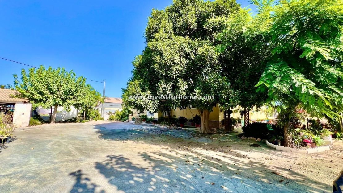 Vente - Villa - Daya vieja - Costa Blanca Sur