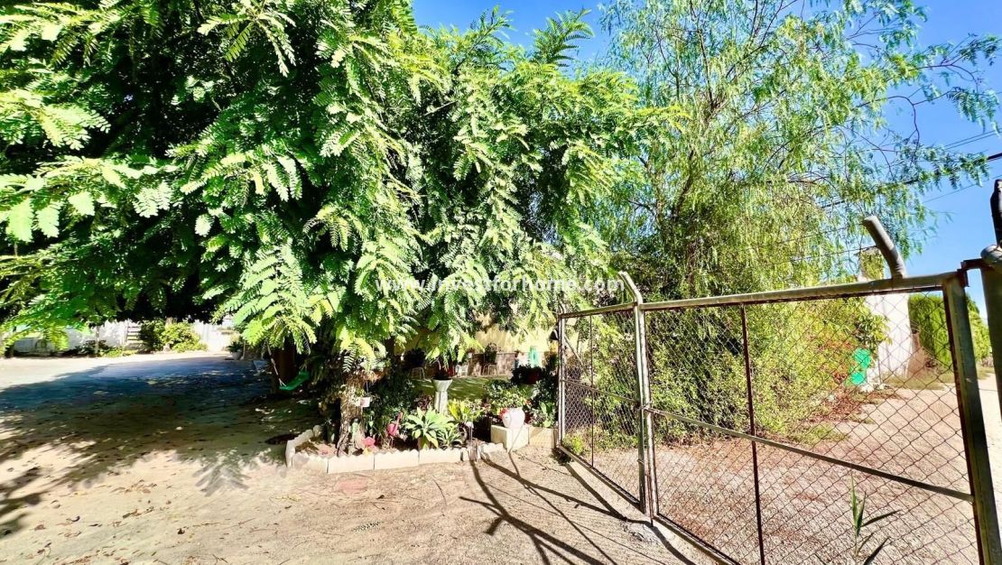 Vente - Villa - Daya vieja - Costa Blanca Sur