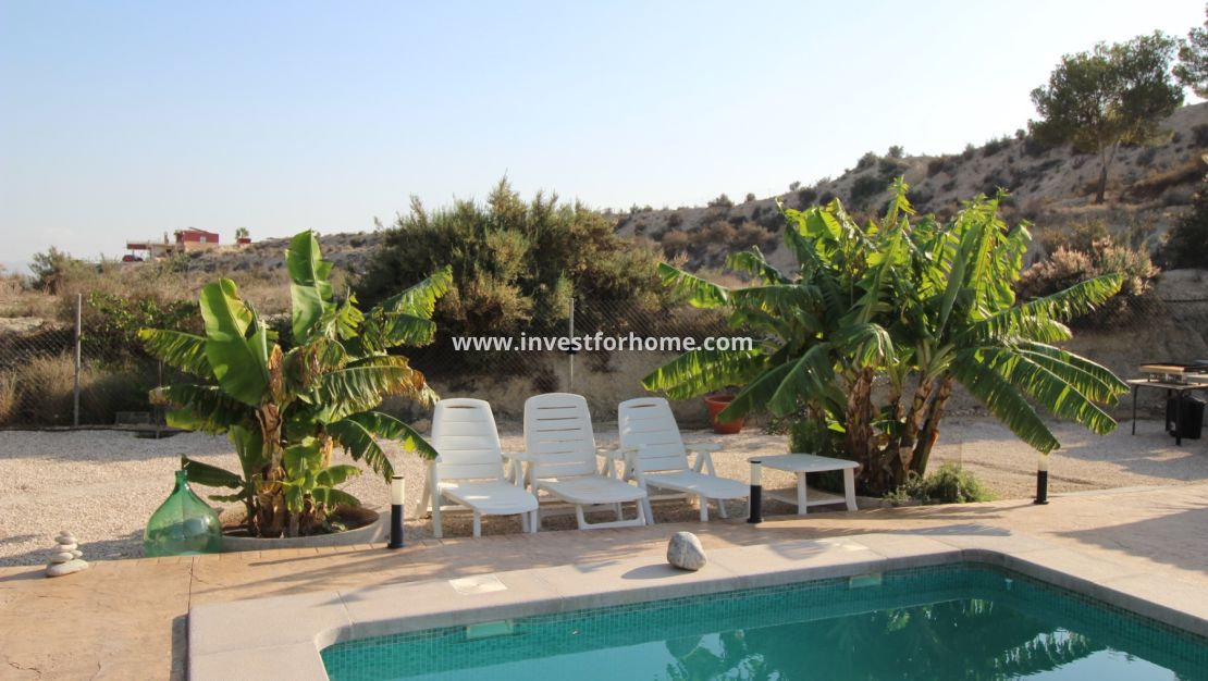 Vente - Villa - Fortuna - Inland