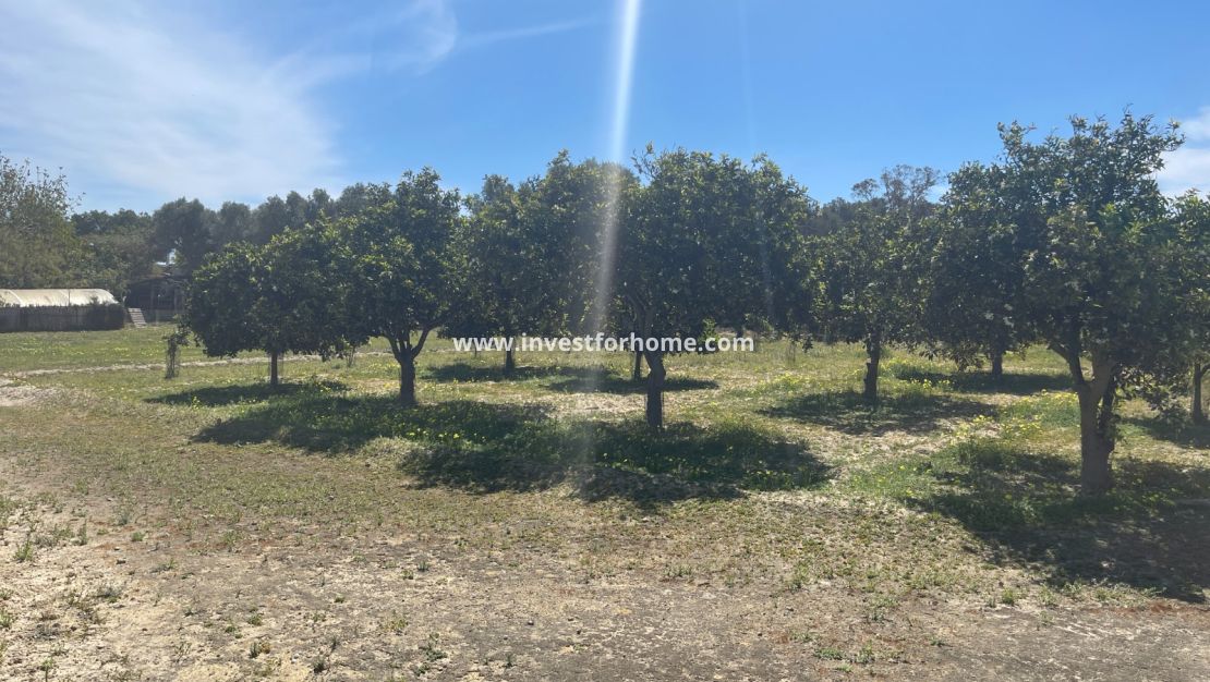 Vente - Villa - Guardamar del Segura - Costa Blanca